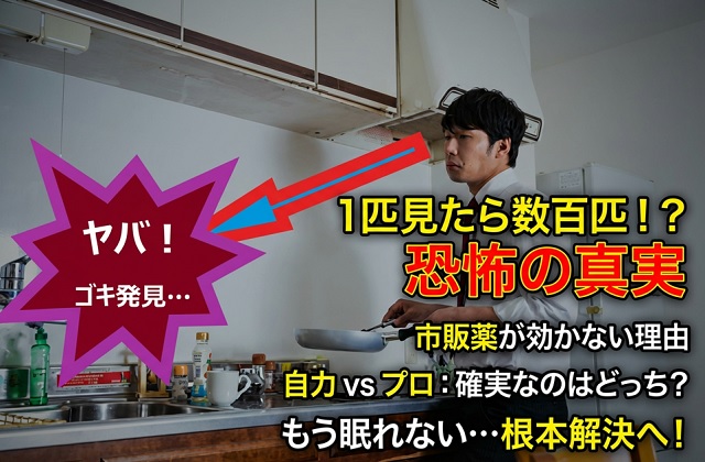 自力駆除 vs プロ業者|徹底比較